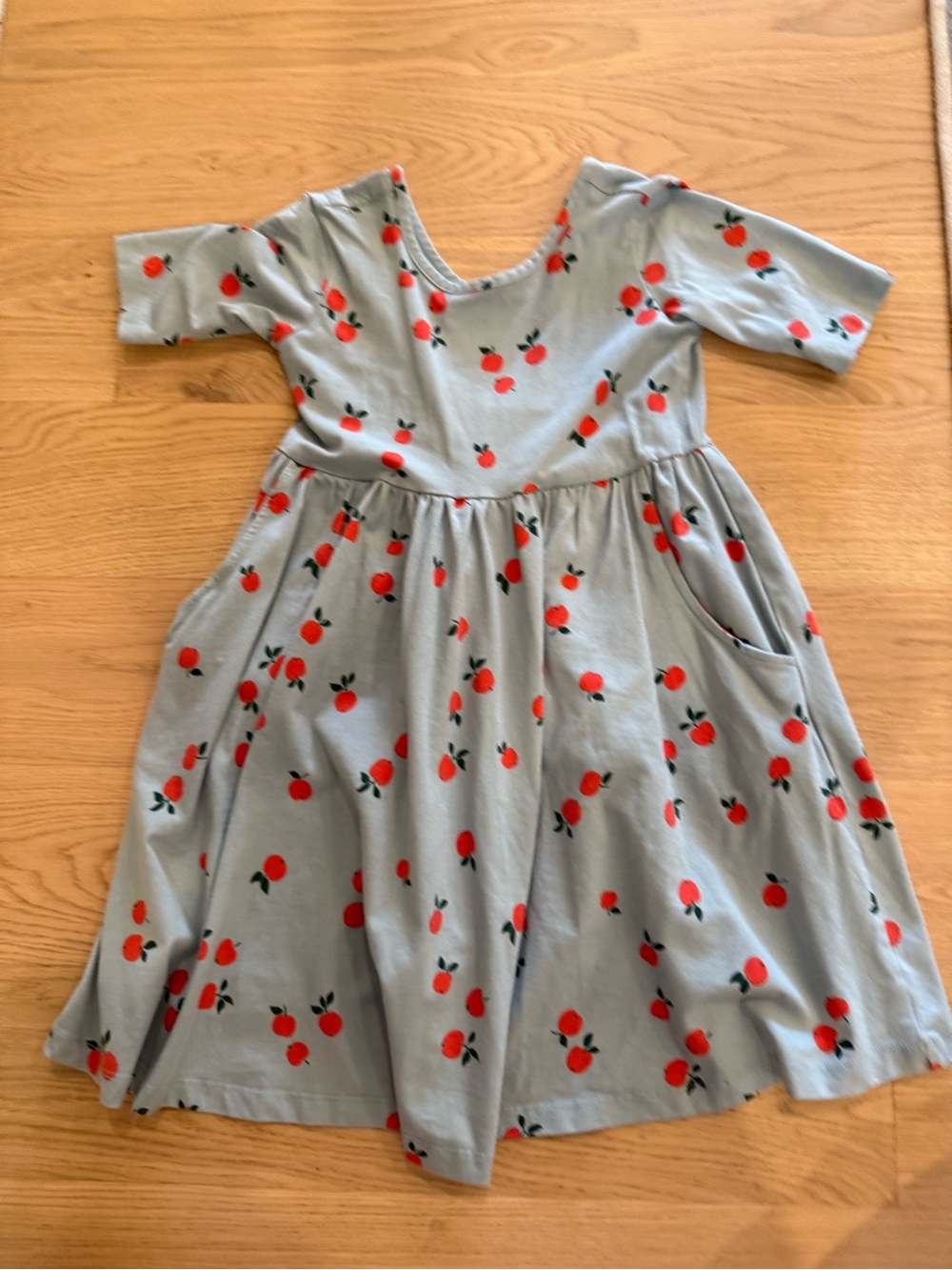 Hanna Andersson Light Blue Dress with apple  Fruit Print